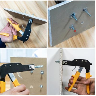 Pince-Molly-mur-creux