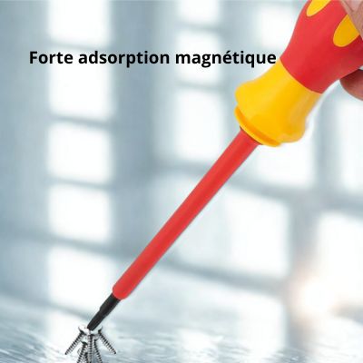 tourneis-magnetique-demontable-forte-adsorption